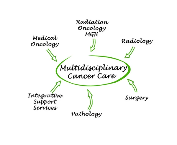 Elementos da Assistência Multidisciplinar ao Cancro — Fotografia de Stock